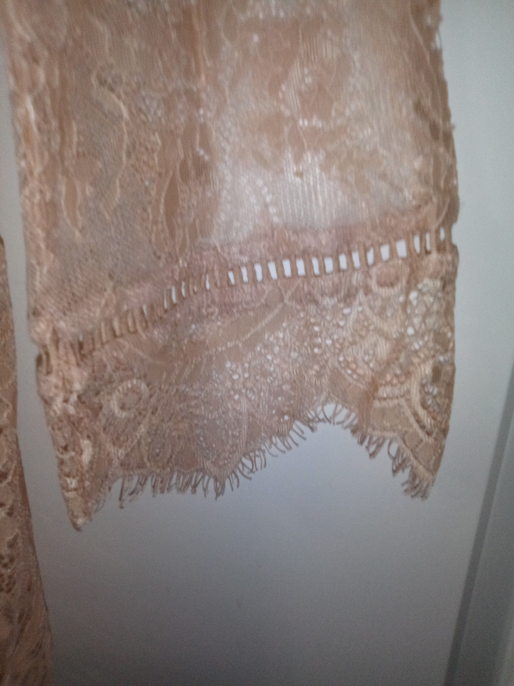 Ultra Pink Coquette Balletcore Boho Chic Whimsigoth Lace Sheer Blouse Size Large - Picture 2 of 9